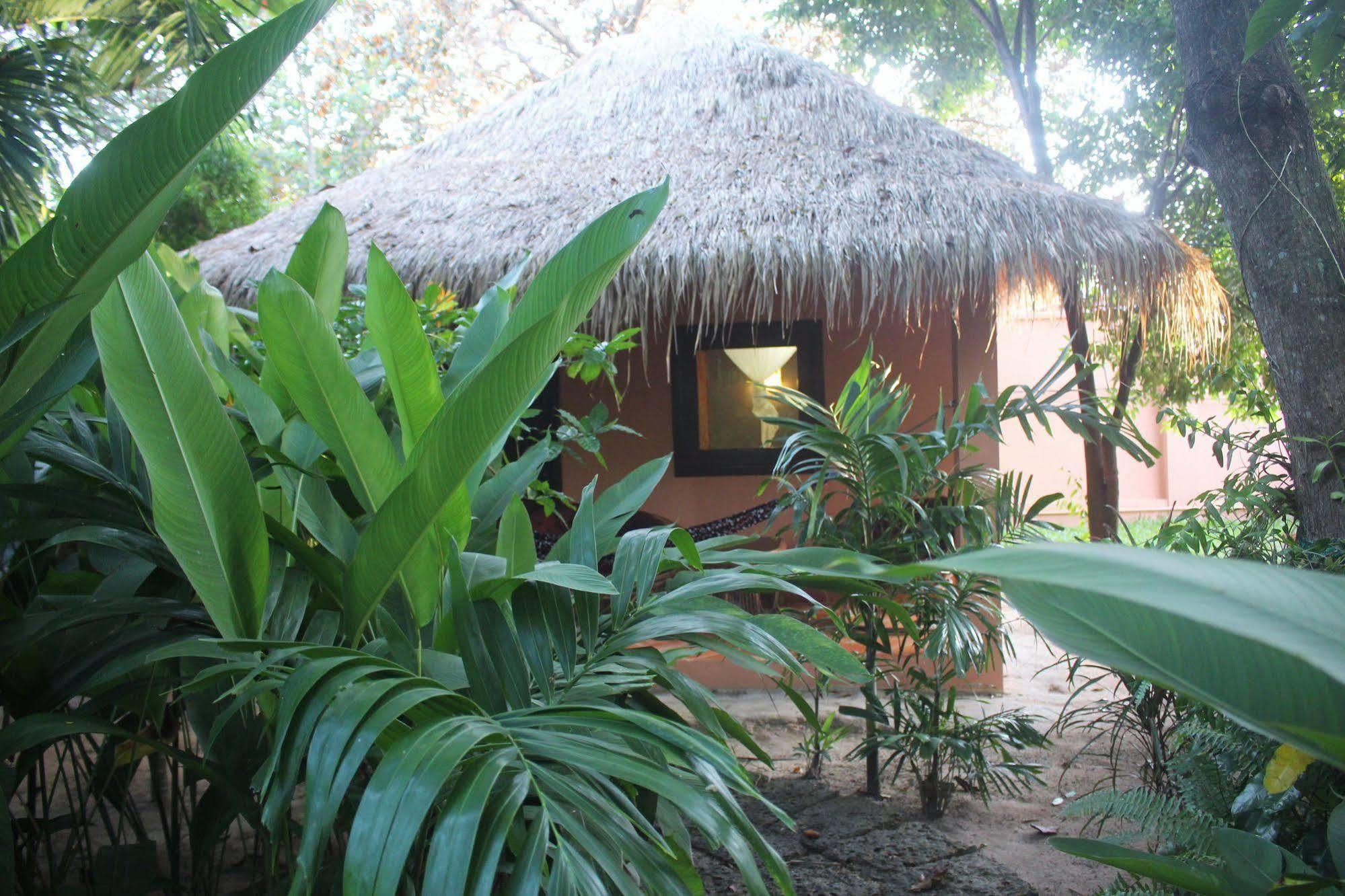 Отель Botanica Кеп Экстерьер фото