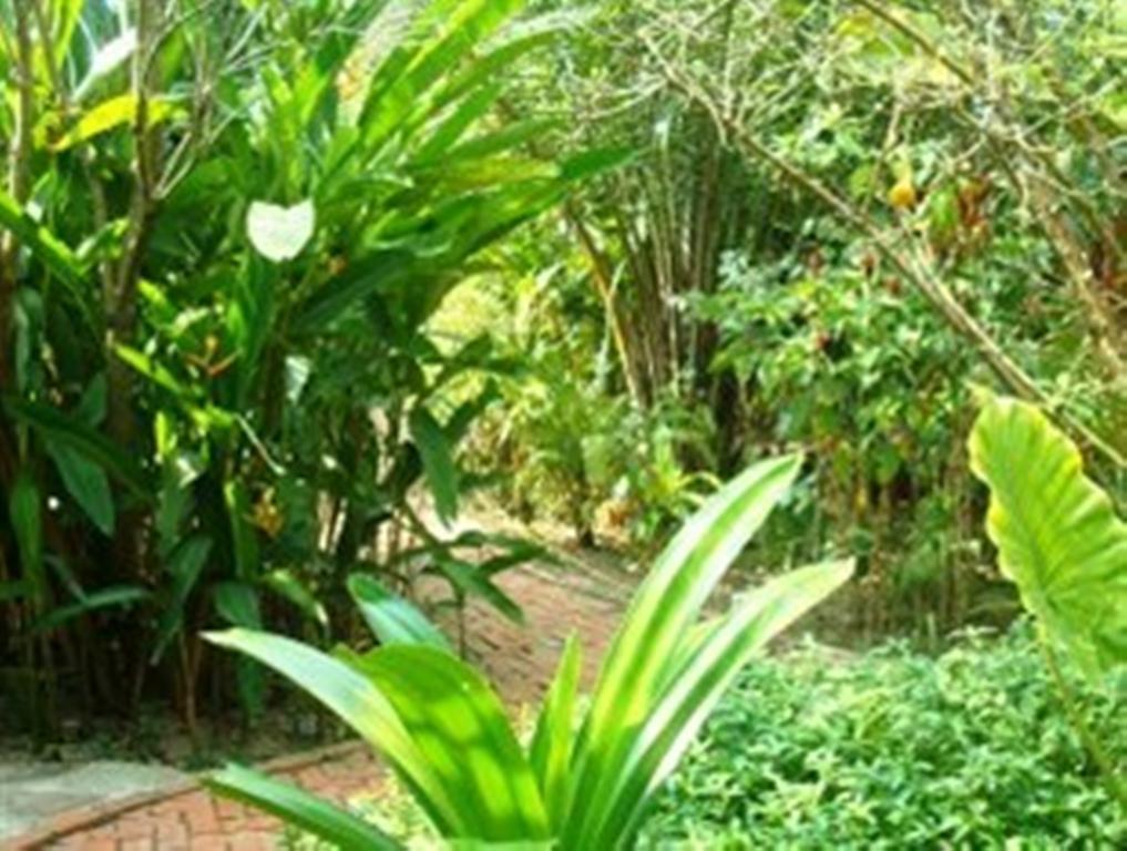 Отель Botanica Кеп Экстерьер фото